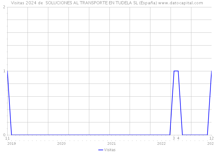 Visitas 2024 de  SOLUCIONES AL TRANSPORTE EN TUDELA SL (España) 