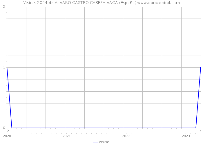 Visitas 2024 de ALVARO CASTRO CABEZA VACA (España) 