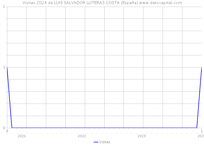 Visitas 2024 de LUIS SALVADOR LLITERAS COSTA (España) 