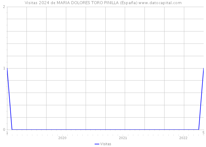 Visitas 2024 de MARIA DOLORES TORO PINILLA (España) 