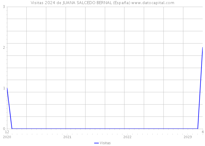 Visitas 2024 de JUANA SALCEDO BERNAL (España) 