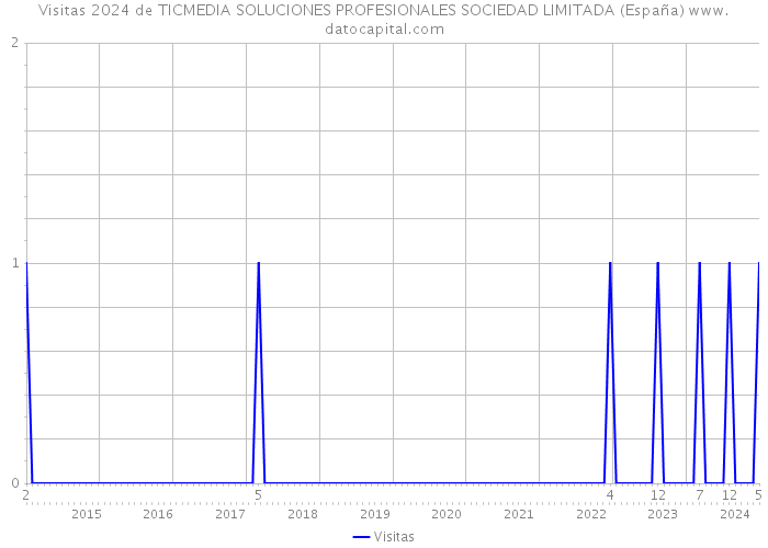 Visitas 2024 de TICMEDIA SOLUCIONES PROFESIONALES SOCIEDAD LIMITADA (España) 