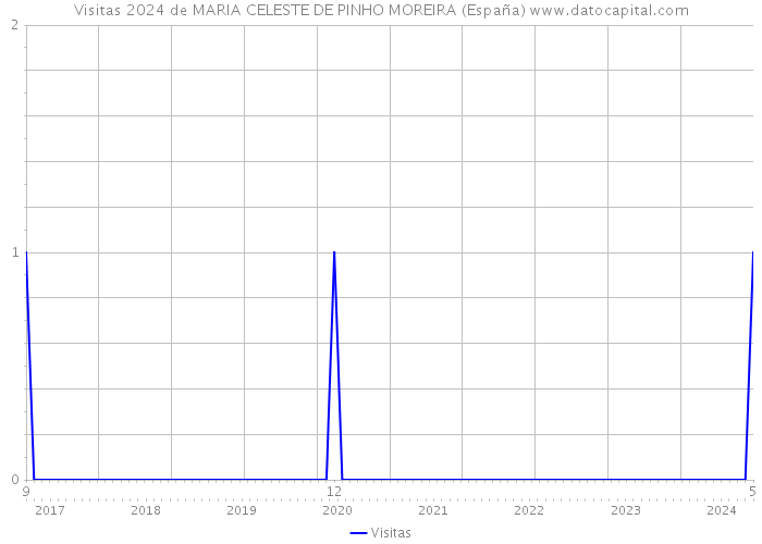 Visitas 2024 de MARIA CELESTE DE PINHO MOREIRA (España) 