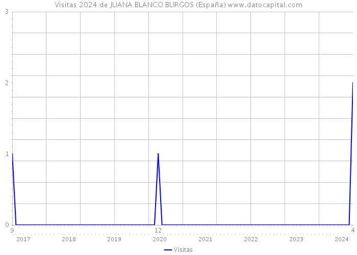Visitas 2024 de JUANA BLANCO BURGOS (España) 