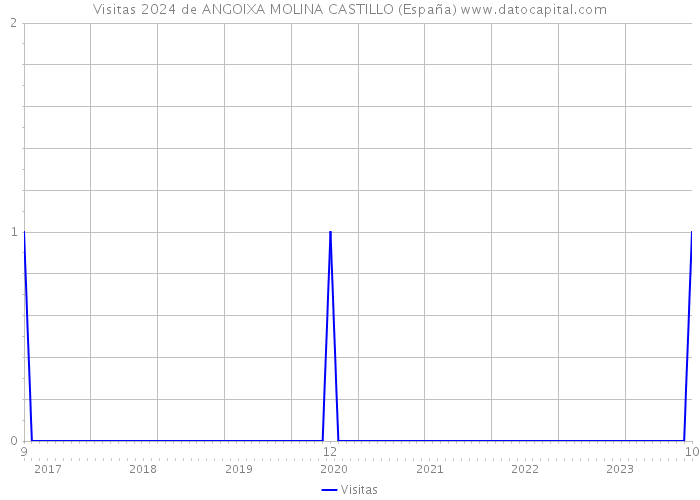 Visitas 2024 de ANGOIXA MOLINA CASTILLO (España) 