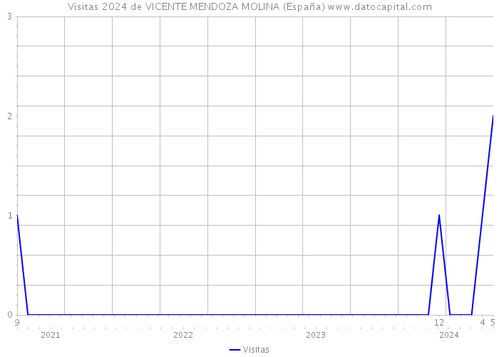 Visitas 2024 de VICENTE MENDOZA MOLINA (España) 