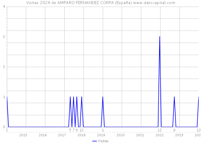 Visitas 2024 de AMPARO FERNANDEZ CORPA (España) 