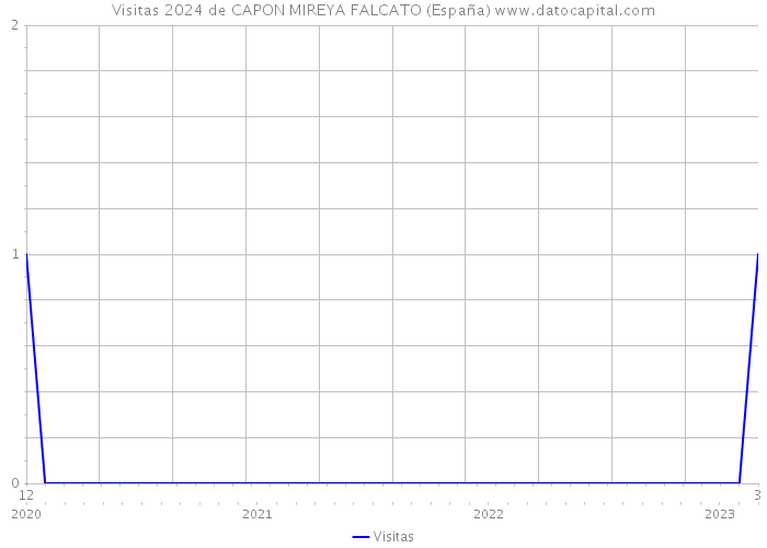 Visitas 2024 de CAPON MIREYA FALCATO (España) 