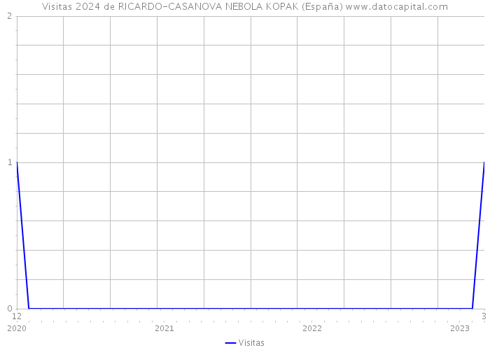 Visitas 2024 de RICARDO-CASANOVA NEBOLA KOPAK (España) 