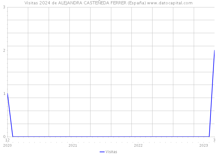 Visitas 2024 de ALEJANDRA CASTEÑEDA FERRER (España) 