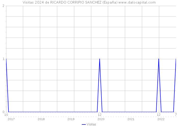 Visitas 2024 de RICARDO CORRIPIO SANCHEZ (España) 
