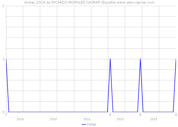 Visitas 2024 de RICARDO MORALES GASPAR (España) 
