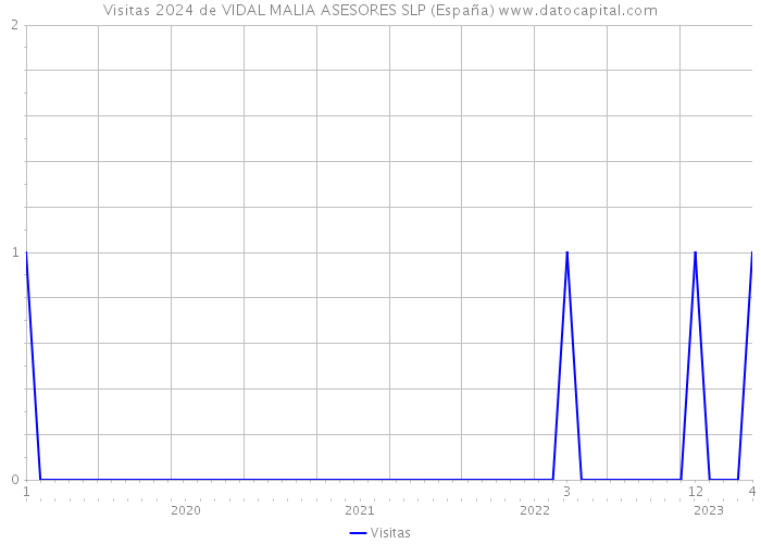 Visitas 2024 de VIDAL MALIA ASESORES SLP (España) 