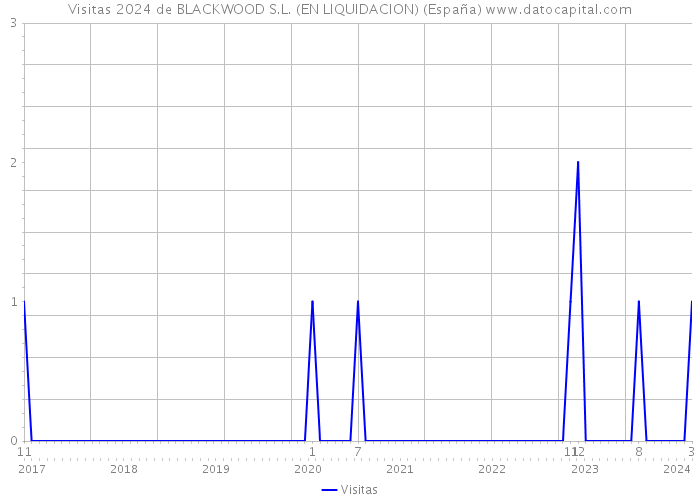 Visitas 2024 de BLACKWOOD S.L. (EN LIQUIDACION) (España) 