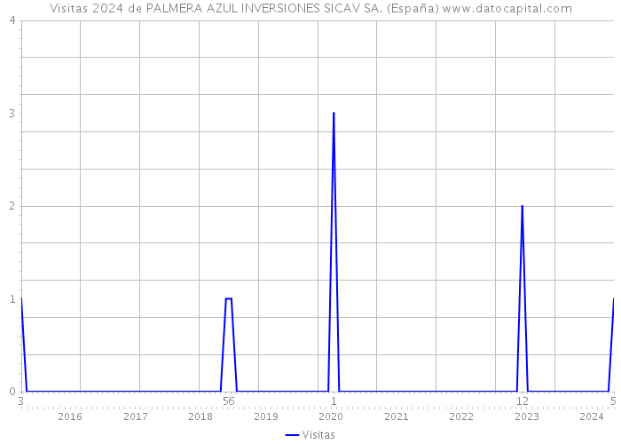 Visitas 2024 de PALMERA AZUL INVERSIONES SICAV SA. (España) 