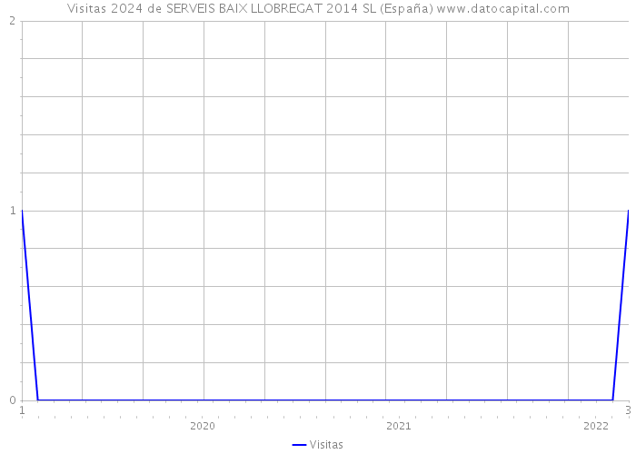 Visitas 2024 de SERVEIS BAIX LLOBREGAT 2014 SL (España) 