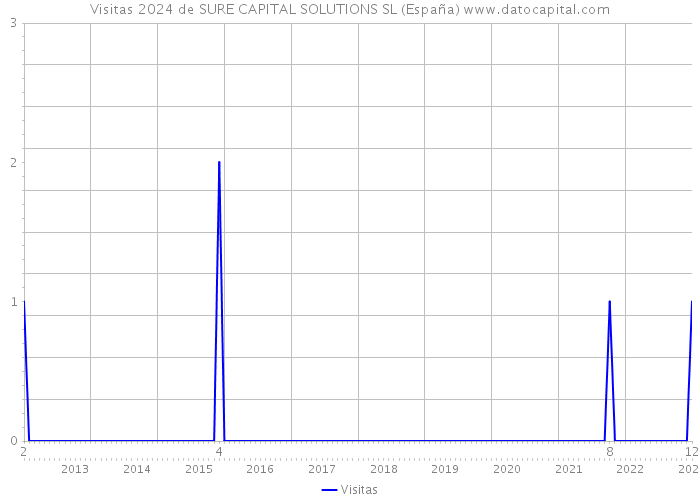 Visitas 2024 de SURE CAPITAL SOLUTIONS SL (España) 