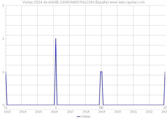 Visitas 2024 de ANGEL CANCHADO FALCON (España) 