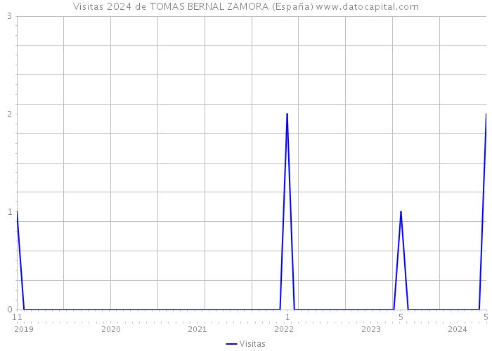 Visitas 2024 de TOMAS BERNAL ZAMORA (España) 