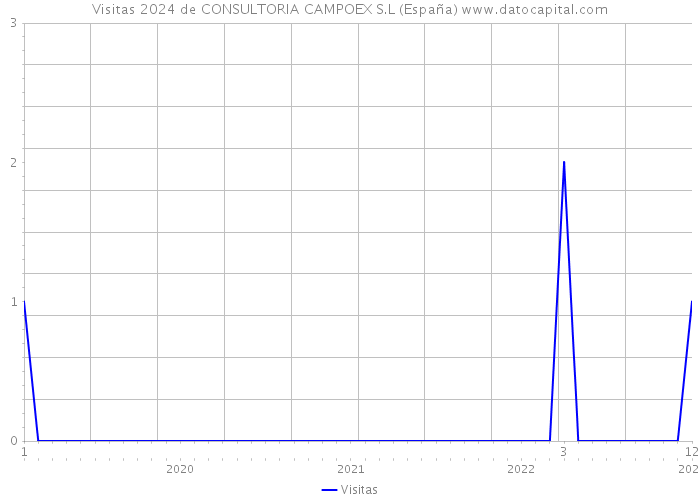 Visitas 2024 de CONSULTORIA CAMPOEX S.L (España) 