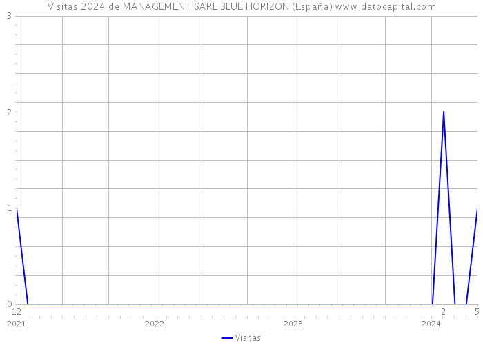 Visitas 2024 de MANAGEMENT SARL BLUE HORIZON (España) 