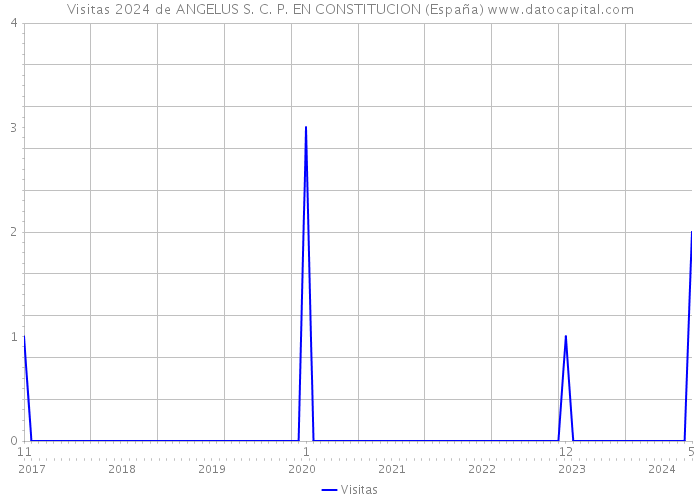 Visitas 2024 de ANGELUS S. C. P. EN CONSTITUCION (España) 