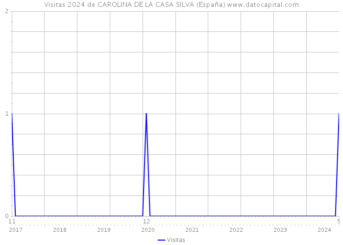 Visitas 2024 de CAROLINA DE LA CASA SILVA (España) 