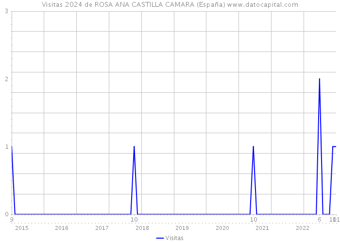 Visitas 2024 de ROSA ANA CASTILLA CAMARA (España) 