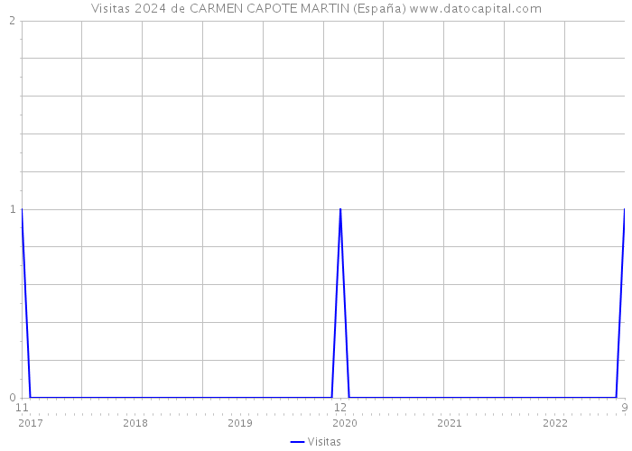 Visitas 2024 de CARMEN CAPOTE MARTIN (España) 