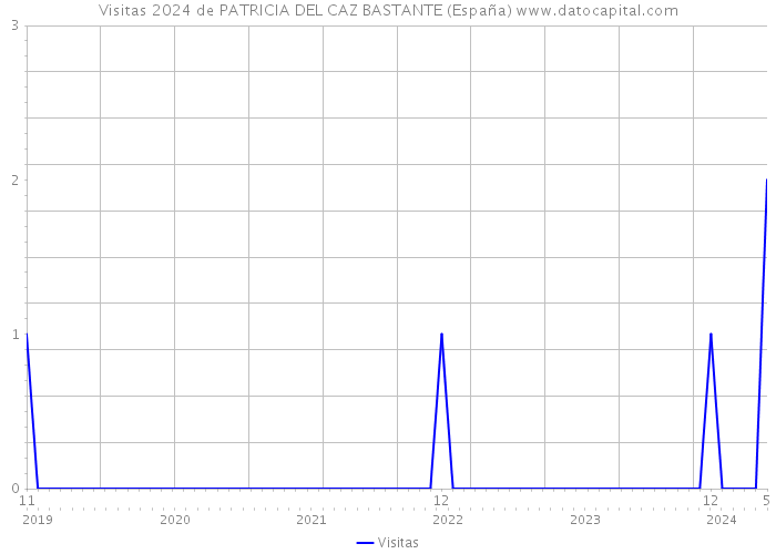 Visitas 2024 de PATRICIA DEL CAZ BASTANTE (España) 