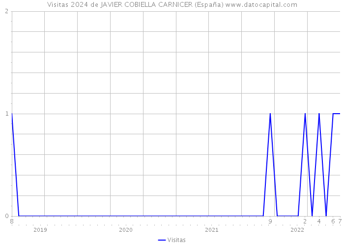 Visitas 2024 de JAVIER COBIELLA CARNICER (España) 