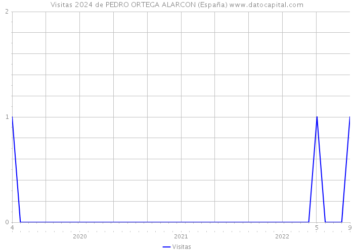 Visitas 2024 de PEDRO ORTEGA ALARCON (España) 