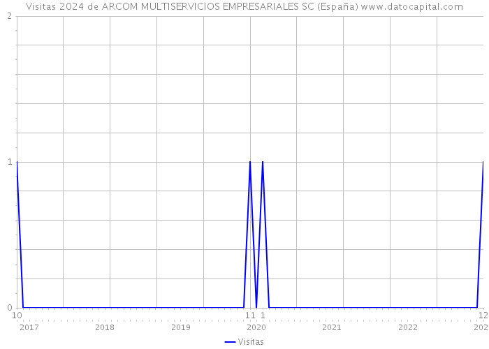 Visitas 2024 de ARCOM MULTISERVICIOS EMPRESARIALES SC (España) 
