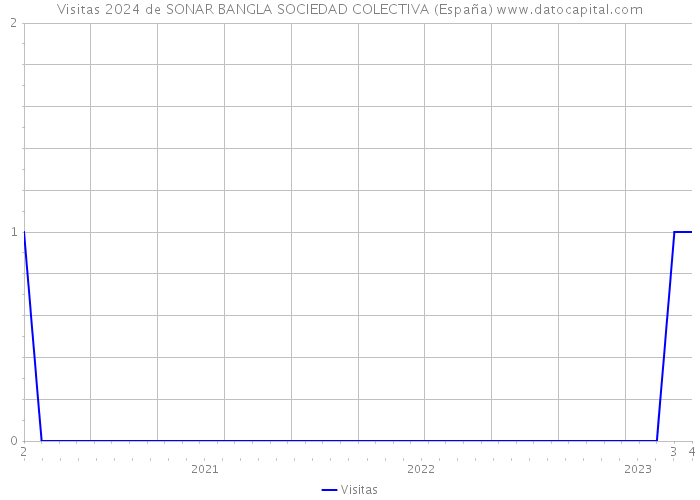 Visitas 2024 de SONAR BANGLA SOCIEDAD COLECTIVA (España) 