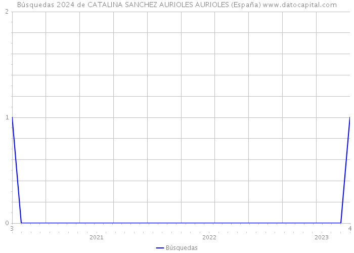 Búsquedas 2024 de CATALINA SANCHEZ AURIOLES AURIOLES (España) 