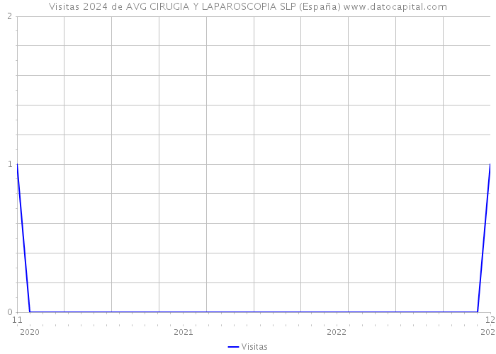 Visitas 2024 de AVG CIRUGIA Y LAPAROSCOPIA SLP (España) 