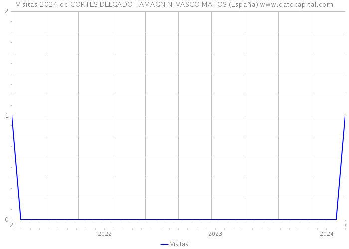 Visitas 2024 de CORTES DELGADO TAMAGNINI VASCO MATOS (España) 