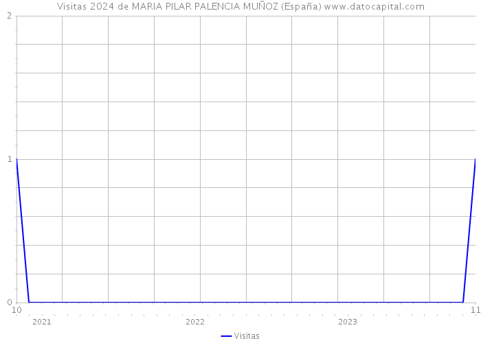 Visitas 2024 de MARIA PILAR PALENCIA MUÑOZ (España) 