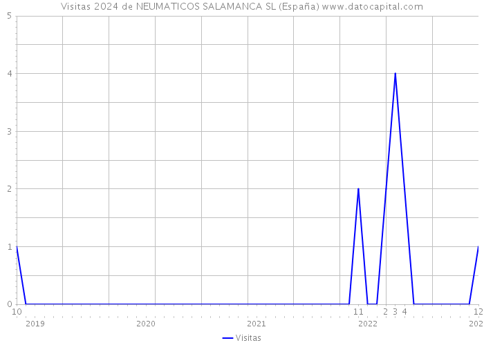 Visitas 2024 de NEUMATICOS SALAMANCA SL (España) 
