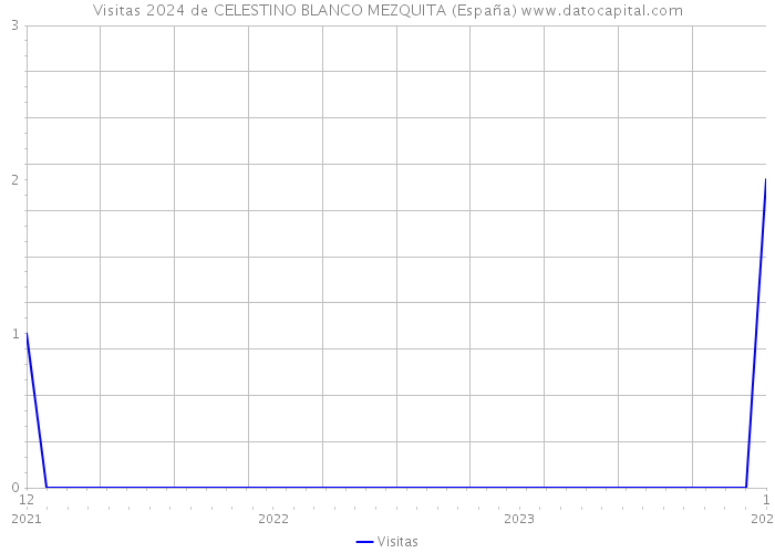 Visitas 2024 de CELESTINO BLANCO MEZQUITA (España) 