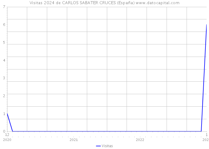 Visitas 2024 de CARLOS SABATER CRUCES (España) 