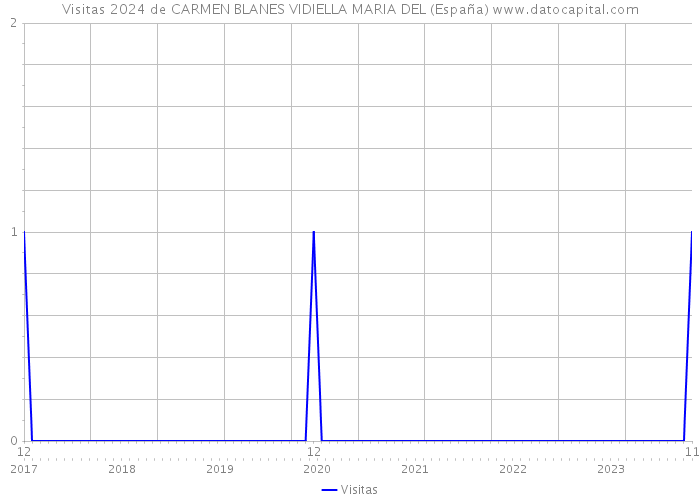 Visitas 2024 de CARMEN BLANES VIDIELLA MARIA DEL (España) 