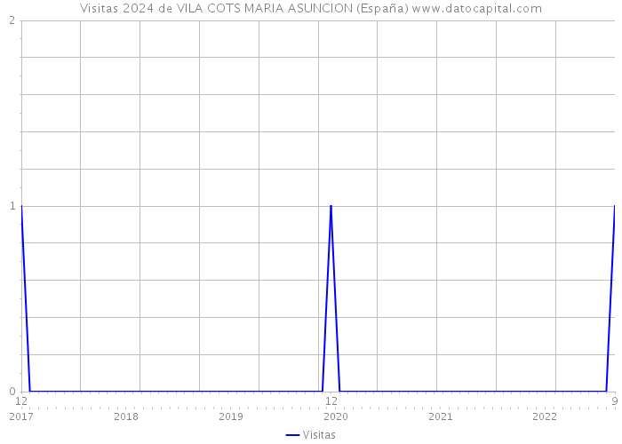Visitas 2024 de VILA COTS MARIA ASUNCION (España) 