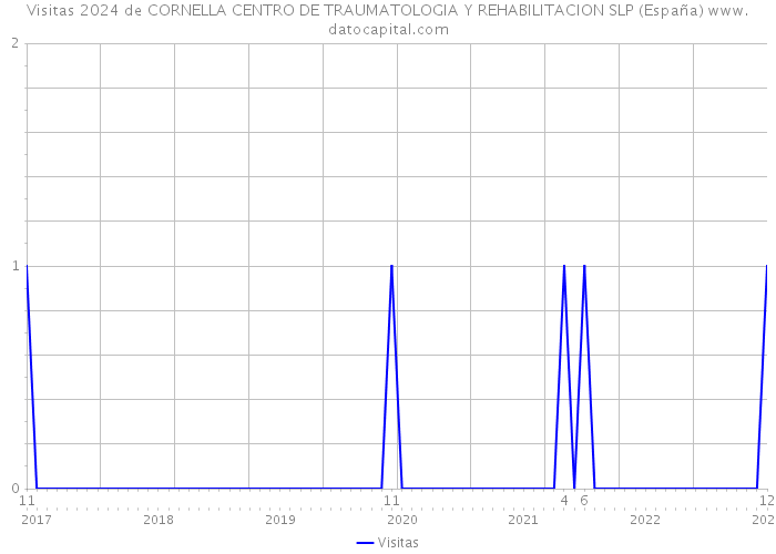 Visitas 2024 de CORNELLA CENTRO DE TRAUMATOLOGIA Y REHABILITACION SLP (España) 