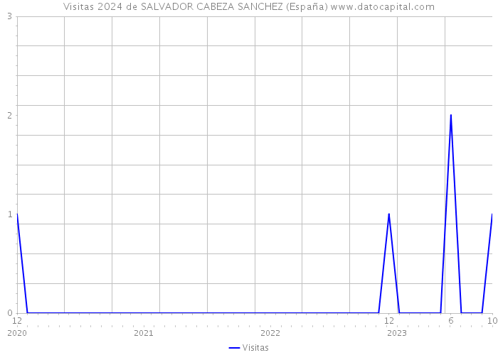 Visitas 2024 de SALVADOR CABEZA SANCHEZ (España) 