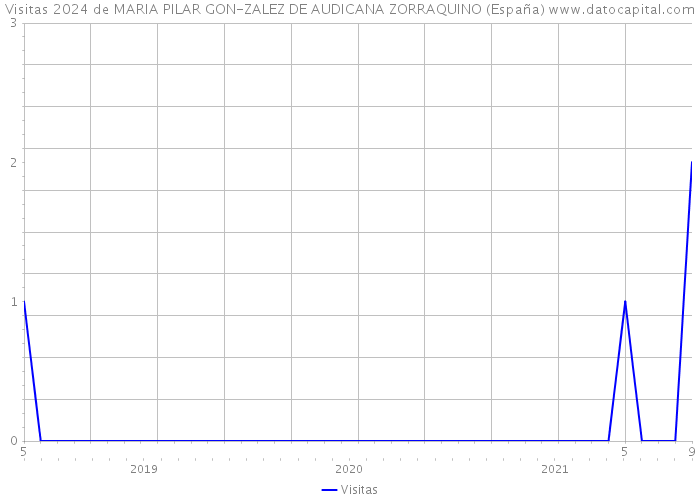 Visitas 2024 de MARIA PILAR GON-ZALEZ DE AUDICANA ZORRAQUINO (España) 