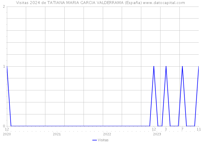 Visitas 2024 de TATIANA MARIA GARCIA VALDERRAMA (España) 