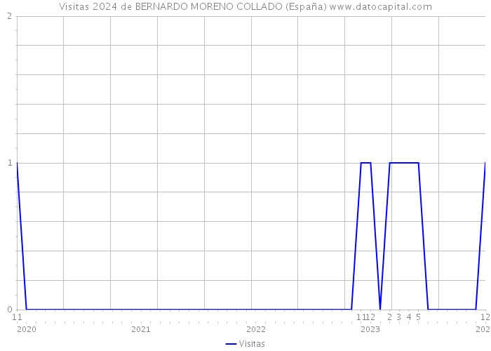 Visitas 2024 de BERNARDO MORENO COLLADO (España) 