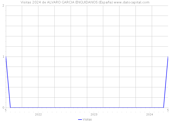 Visitas 2024 de ALVARO GARCIA ENGUIDANOS (España) 