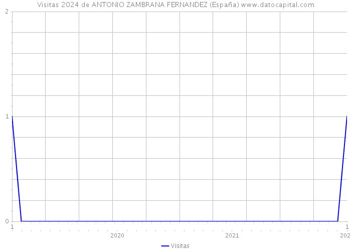 Visitas 2024 de ANTONIO ZAMBRANA FERNANDEZ (España) 